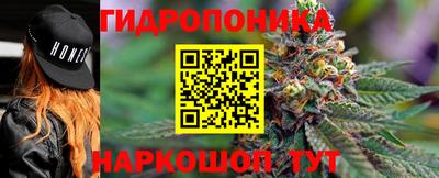 молекула духа Партизанск