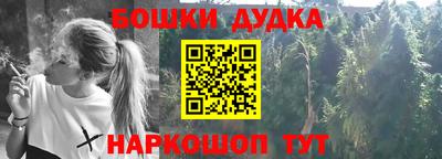 молекула духа Партизанск