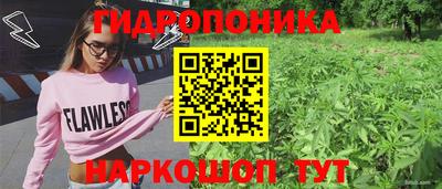 молекула духа Партизанск