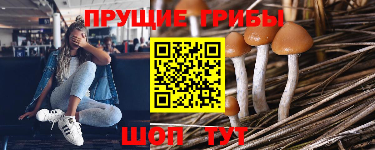 Галлюциногенные грибы мухоморы Асино